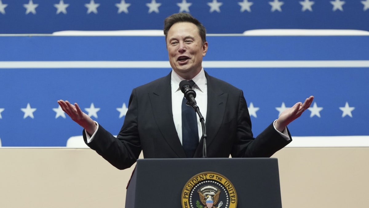 Musk aide given payment system access by mistake: US official