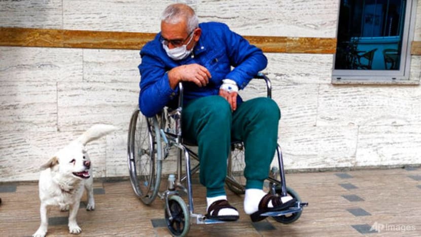 Dog spent days outside Turkish hospital waiting for owner 