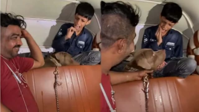 放任比特犬袭咬11岁男童 狗主全程嬉笑旁观