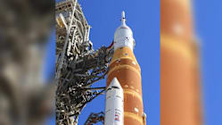 Related article image