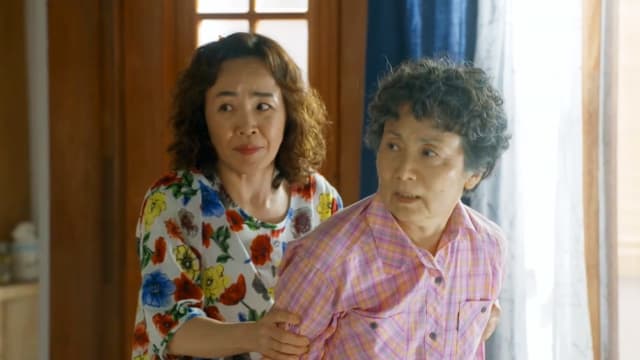 第二任丈夫（第12集）：国芬隐瞒的秘密