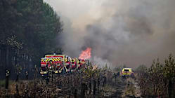 Related article image