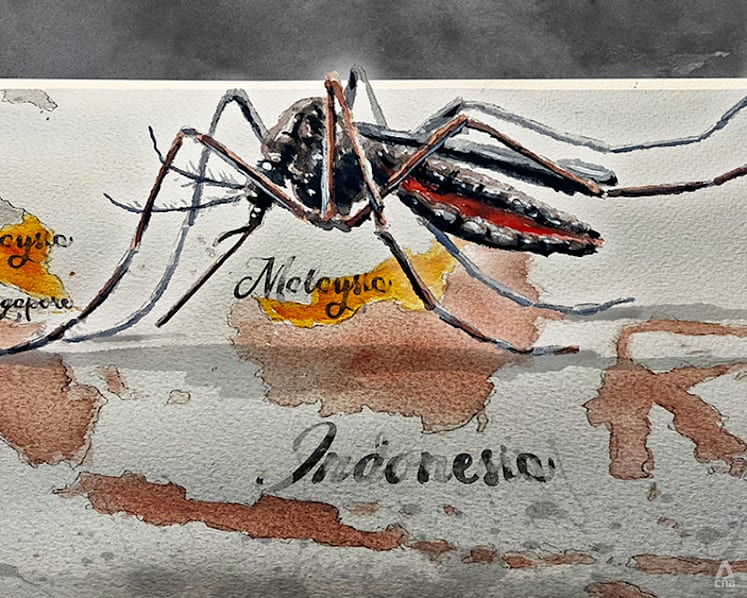 IN FOCUS: Is Southeast Asia losing the battle against dengue?