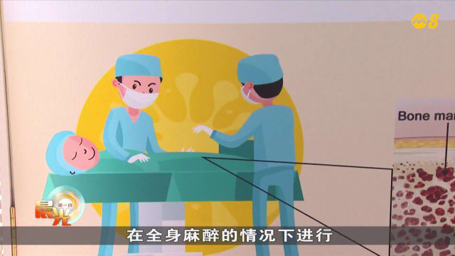 晨光|晨光聚焦：如何消除国人对骨髓移植的误解？