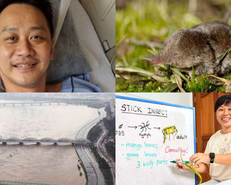 Daily round-up, Aug 10: Full recovery expected for Red Lion Jeffrey Heng; new Langya virus infects 35 in China; deadly floods in Seoul 