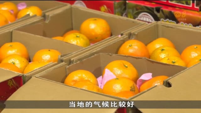 因货源充足 一些年柑如芦柑比去年便宜约两成
