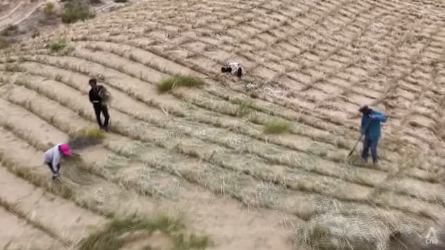 Growing fruits on desert lands? Inside China’s decades-long fight against desertification