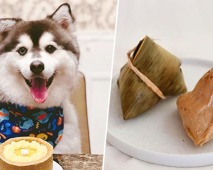 Home-based seller offers punny ‘bark zhang’ for dogs and pet-friendly Mao Shan Wang cake