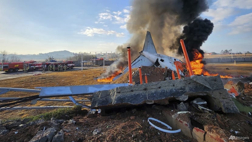 Experts question bird strike as cause of deadly Jeju Air crash in South Korea Experts question bird strike as cause of deadly Jeju Air crash in South Korea