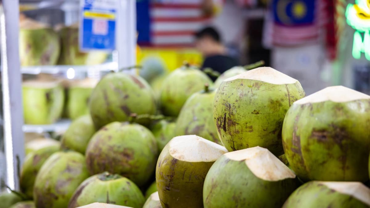 Coconut shortage fuels price surge in Malaysia; suppliers at a loss as yields fall sharply