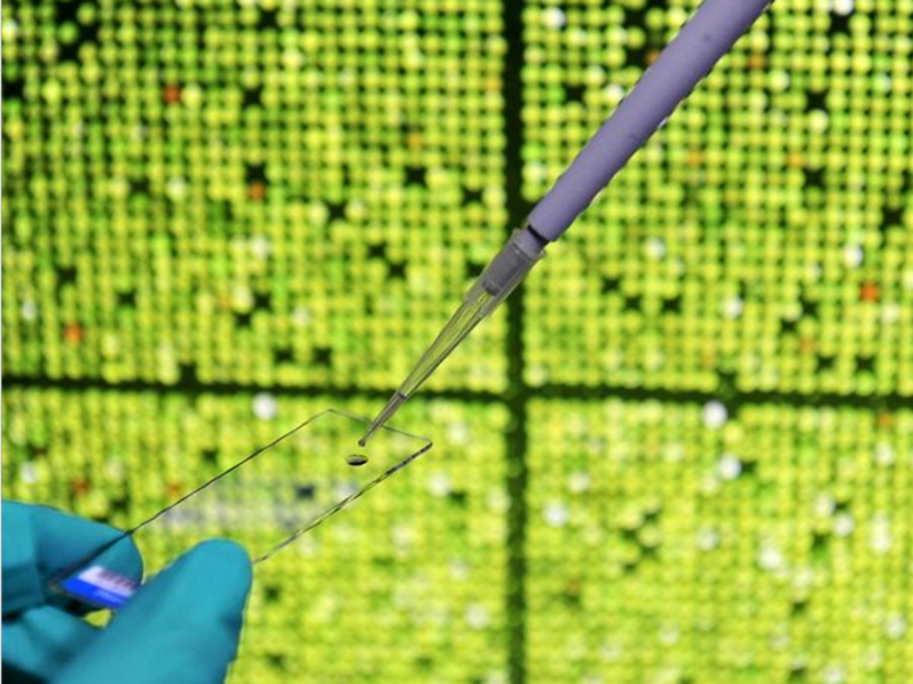 So near, yet so far: Aspiring parents and their embryos separated by the pandemic So near, yet so far: Aspiring parents and their embryos separated by the pandemic