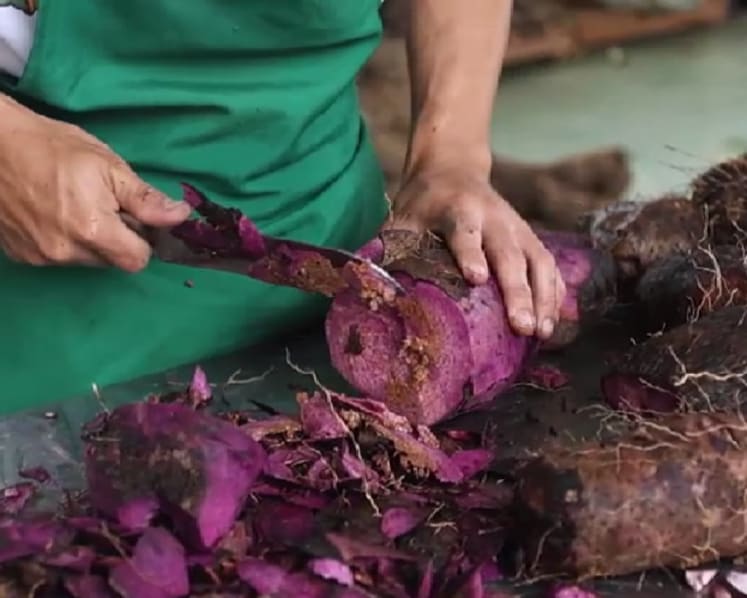 Philippine purple yam boom under strain from climate pressures