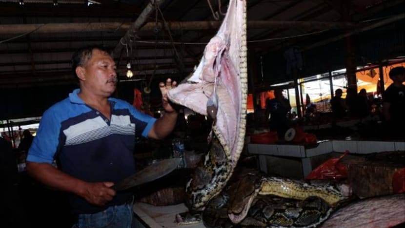 Cabaran tangani dagangan hidupan liar di Sulawesi Cabaran tangani dagangan hidupan liar di Sulawesi