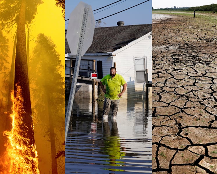How a global carbon market could accelerate net zero