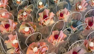 Florist says it was misled by fake bulk order, days after briyani incident