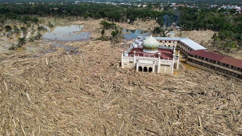 Indonesia to revoke 22 forestry permits after deadly floods