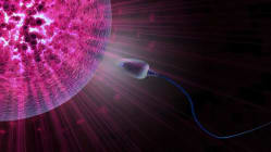 Related article image