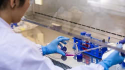 Related article image