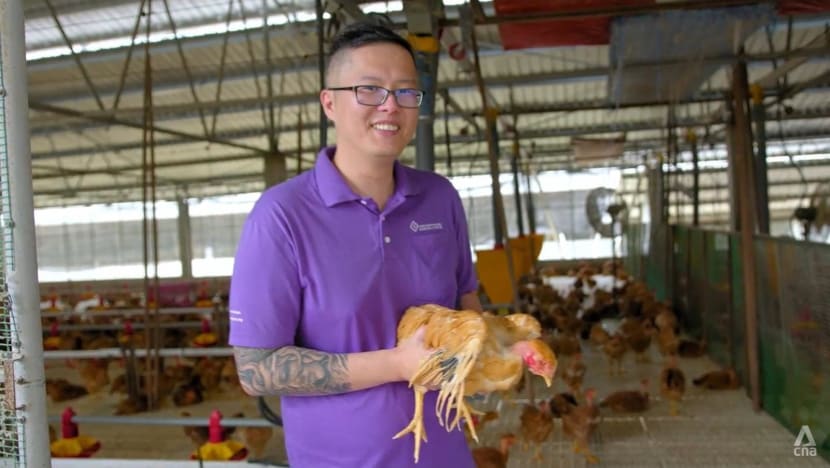 Fresh off the boat: Singapore’s chicken supplies get a boost, in a world of food disruptions Fresh off the boat: Singapore’s chicken supplies get a boost, in a world of food disruptions