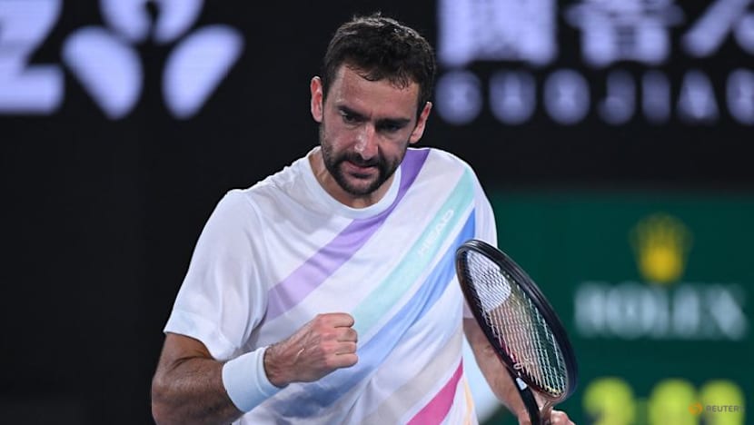 Cilic says 600th tour-level win shows his dedication to the sport