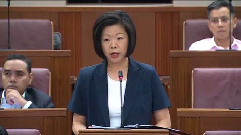 Sim Ann on investigations into outrage of modesty cases