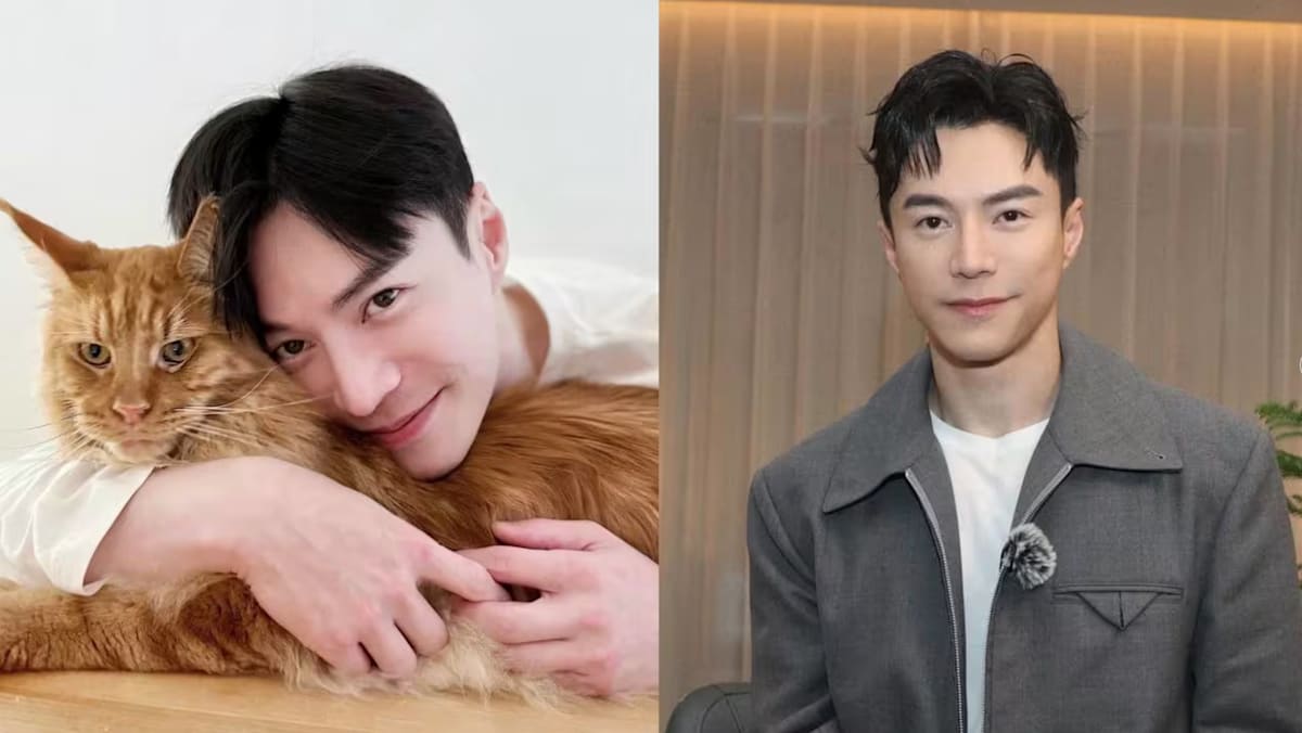 Actor Lawrence Wong reveals he lived in rental flat for low-income residents before finding fame