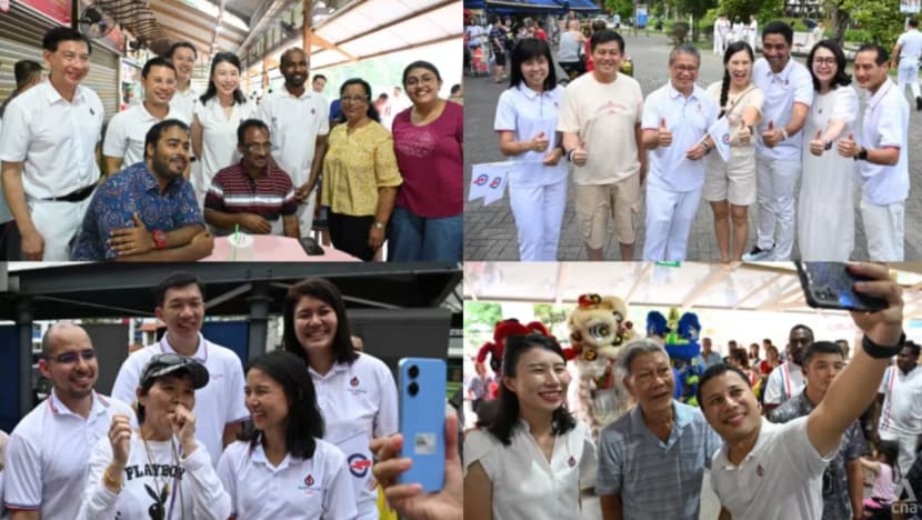 GE2025: 'Sangat terharu' oleh sokongan padu di West Coast-Jurong West, kata Desmond Lee