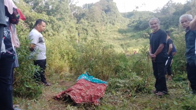马国老翁疑遭一群野象袭击 惨死丛林内