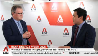 Oil demand will peak in the mid-2030s before stabilising: Vitol