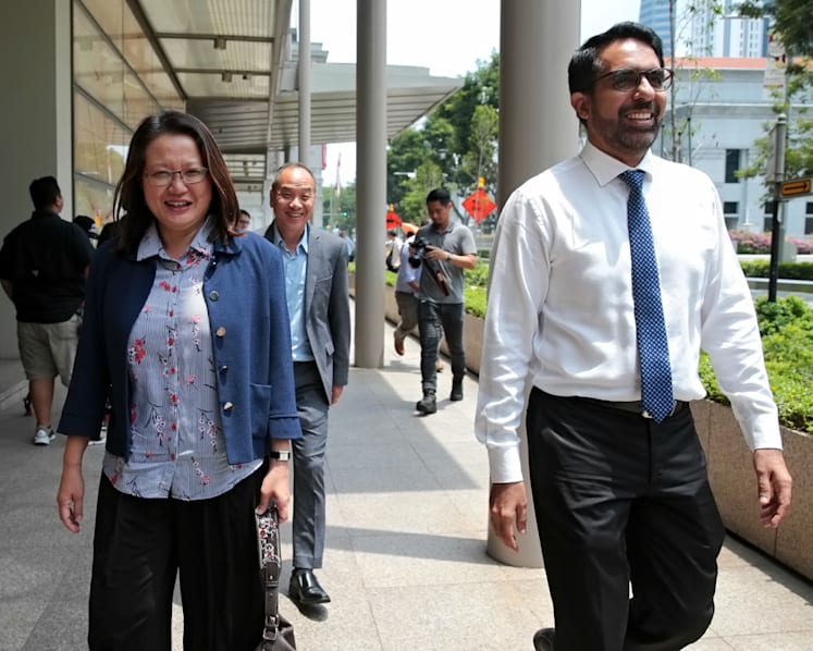 WP MPs acted in good faith, duties within what were set in Town Councils Act: Lawyer