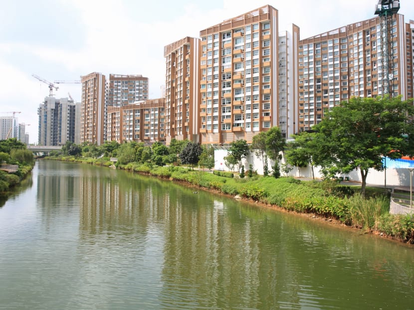 Biodiversity thriving on artificial Punggol waterway