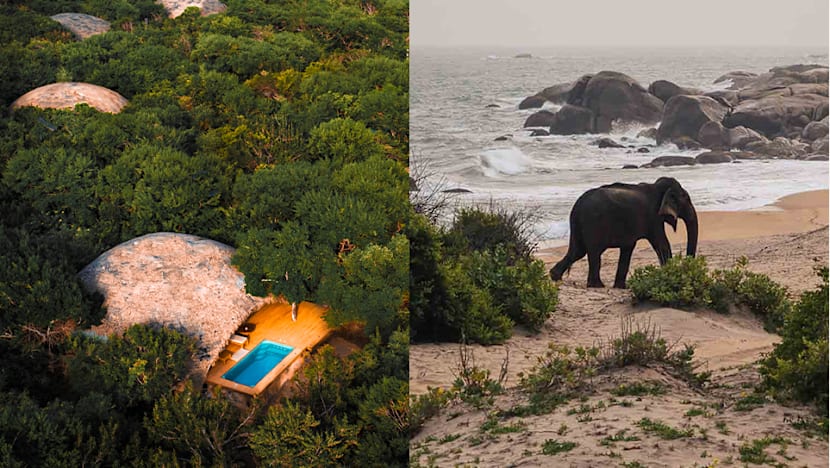 Just four hours from Singapore, Sri Lanka offers two very different safari experiences