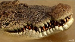 Related article image