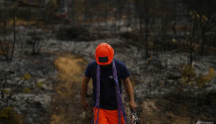 Firefighters bring huge blaze in France under control