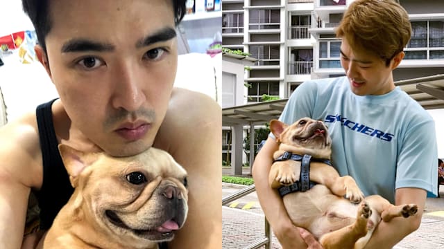 从“房客的狗狗”变家人，李腾痛别相伴13年爱犬Bali