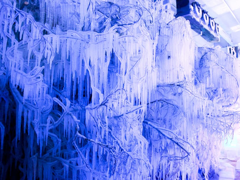 Gallery: 2 Degree Ice Art: A chilly experience