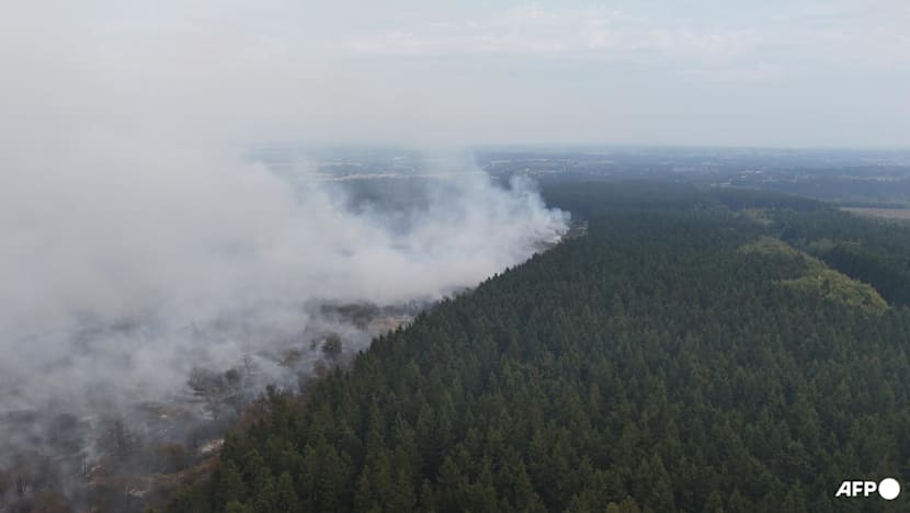 Belgium counts on air support as record wildfire jumps in size