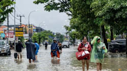 Related article image