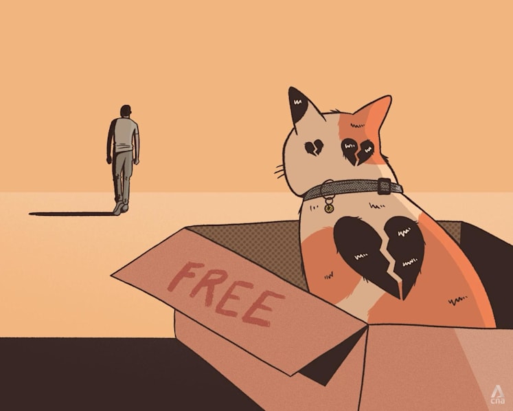 Too cheap and easy to buy: What's fuelling the rise of pet abandonment and how to address it