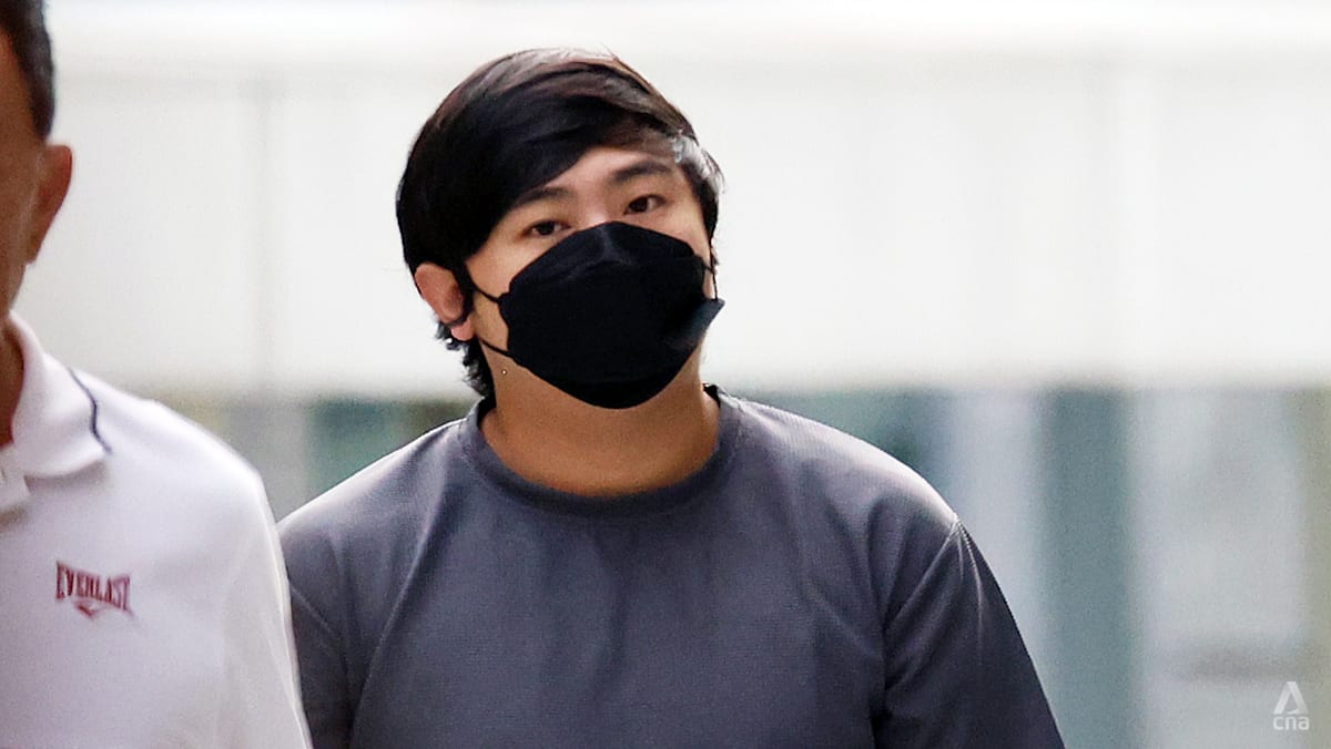 Member of syndicate that distributed vapes from Malaysia islandwide gets jail, fine