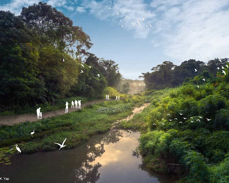 NParks to develop 18km of recreational trails to link Rail Corridor to Dover Forest and Jurong Lake Gardens