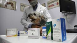 Related article image