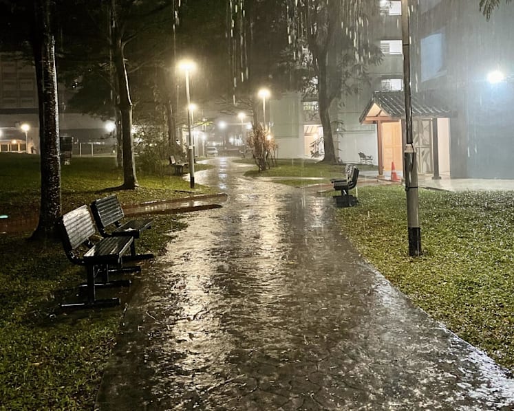 Wettest February day recorded on Feb 28, surpassing previous high in 1995