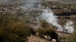 Related article image