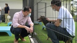 Related article image