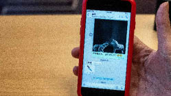 Related article image
