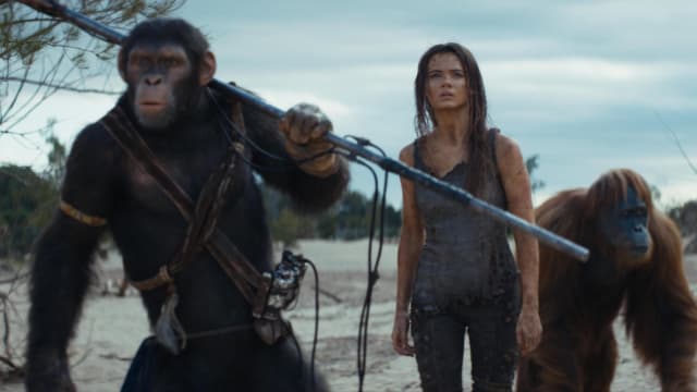 新片上映：Kingdom of the Planet of the Apes