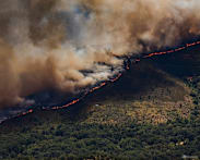 Spain declares national emergency over wildfires near Madrid and in Avila
