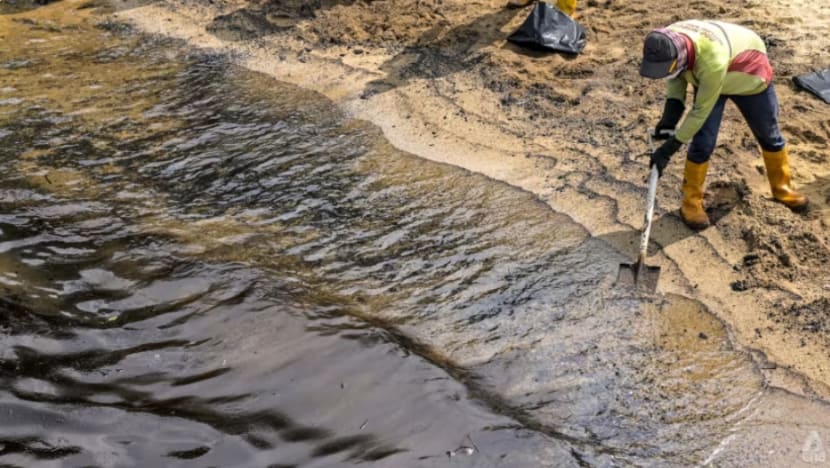 Operasi bersihkan pantai susuli tumpahan minyak akan selesai 'dalam masa kira-kira sebulan': Grace Fu Operasi bersihkan pantai susuli tumpahan minyak akan selesai 'dalam masa kira-kira sebulan': Grace Fu
