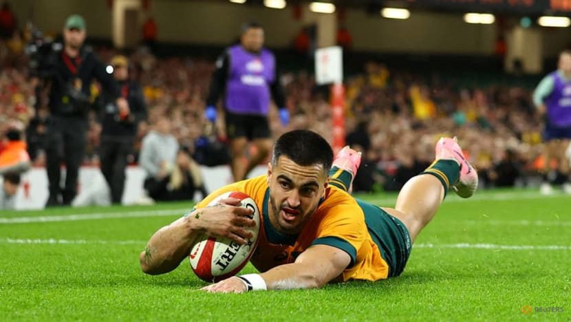 Wallabies not reading much into Lions loss to Argentina Wallabies not reading much into Lions loss to Argentina